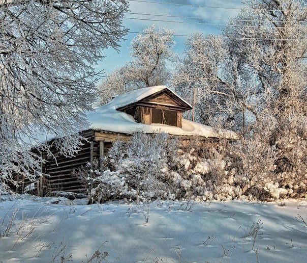 Моменты, запечатлённые на фото и просто позитив 5