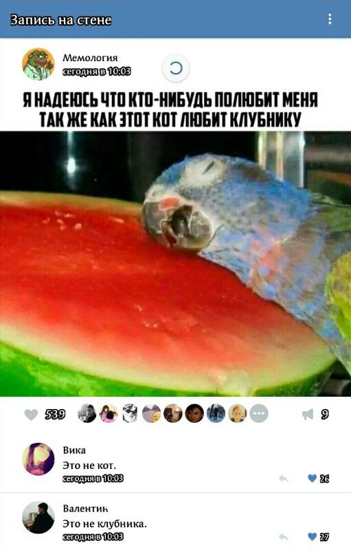Ужасы и приколы из соцсетей 18+