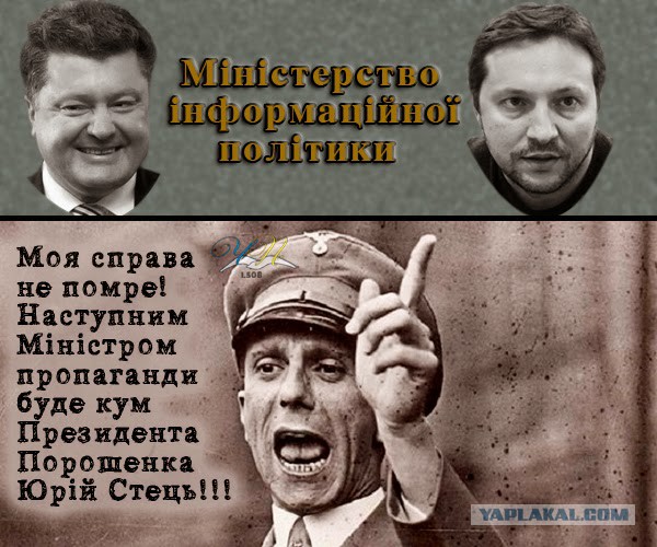 Нам бы просто поесть... В России кончаются ежи?