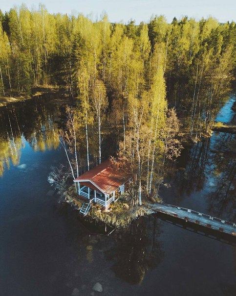 Подборка разного из сети