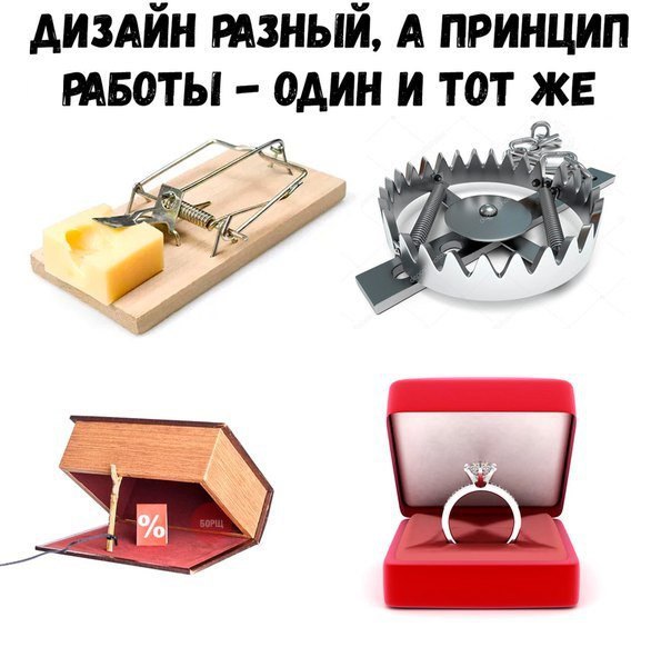 Подборка интересных и веселых картинок