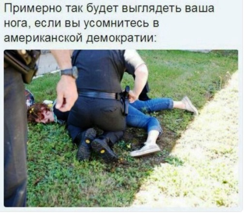Полиция США Добро пожаловать в демократию 4.0
