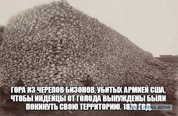 Много воевавших - да один победивший. Русско-чукотские войны