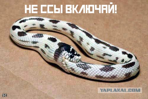 Соберу сам, что тут сложного