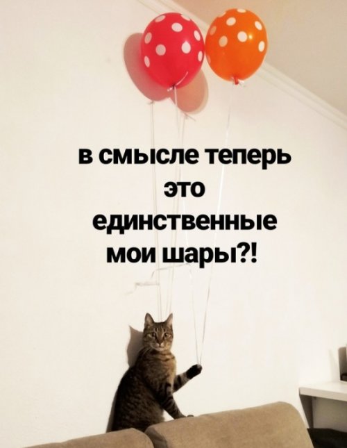 Стандартный юмор #3
