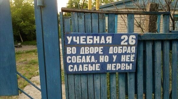 Прикольные надписи и объявления