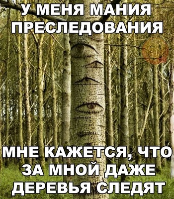 По каким признакам можно определить, что у вас шизофрения