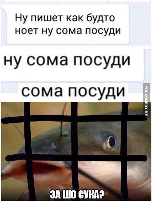 Шиес. Точка кипения
