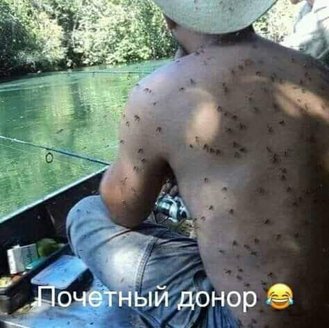 Картинки с надписями и анекдоты
