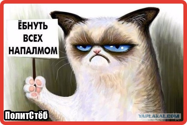 Ужасы природы, с которыми мало кто пожелал бы встретиться