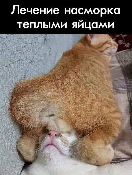 «Картинки разные нужны, картинки разные важны»