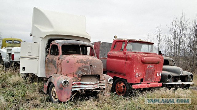 Игра на ЯПе: Угадай АВТО-5