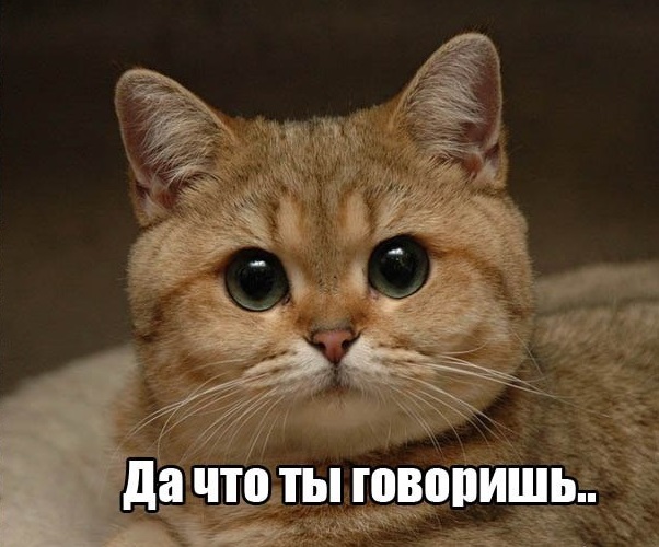 Немного картинок для настроения