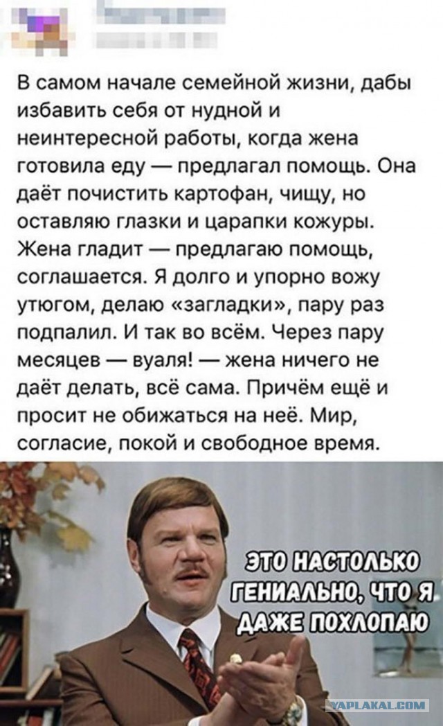 Пикчерз (Картинкас) Лучшая самка и парк весёлых приключений!