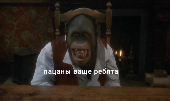 Максимально близко к восстанию обезьян: в Уганде шимпанзе объявили войну людям