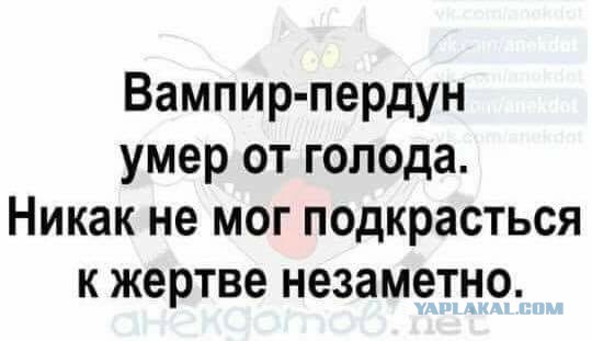 О вампирах, ирисках и немного о любви