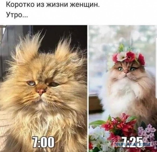 Пара-пара-пам! Фьють. Картинки с надписями 24.02.20