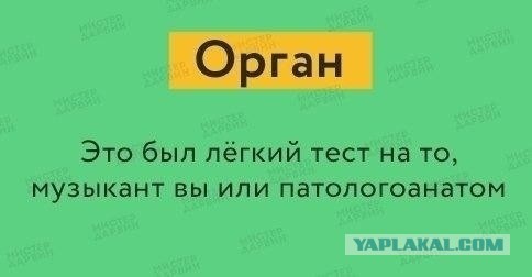 Свинегрет: картинки, надписи и прочее на 19.03 или №16