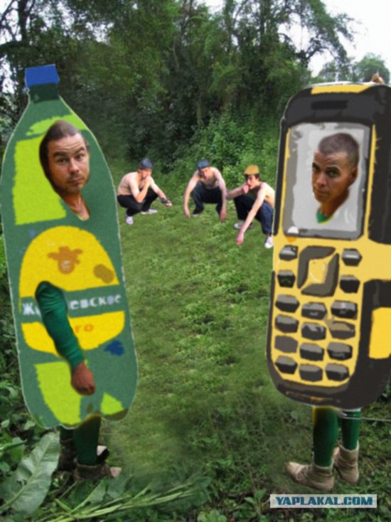 Друзья обезьян