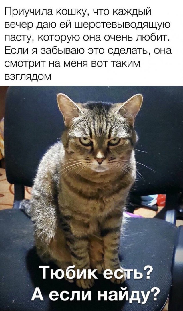 Бредзона 21.08.2020