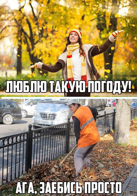 Фотки и картинки: юморные и красивые, забавные и милые 16.09.20