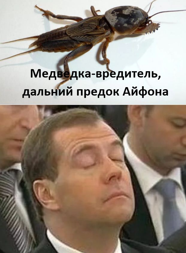 Цена на икру на Камчатке 2020. Перед Новым годом