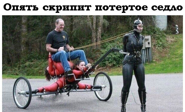Прикольные картинки 02.12.20