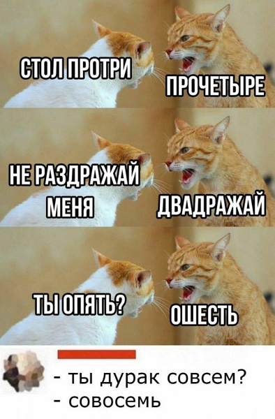 Картинки с надписями и всякие жизненные фразы 9.01.21