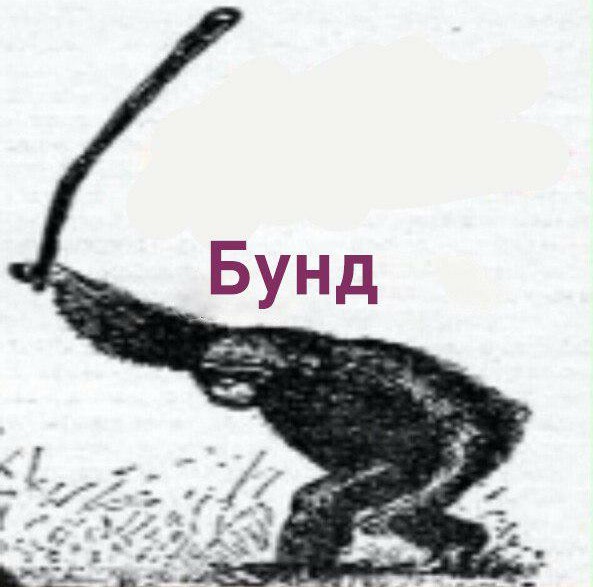 Беспорядки в Бельгии