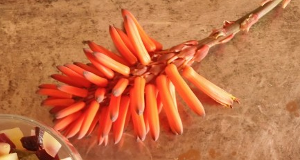 О правильном Оливье. Аутентичная кулинария.
