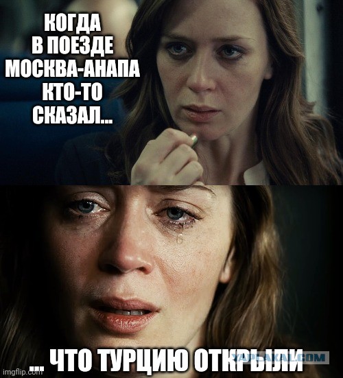 15662475.jpg