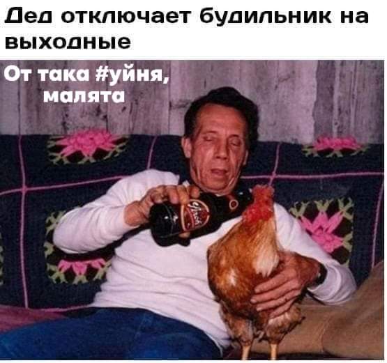 Всяческие картинки 29.06.2021