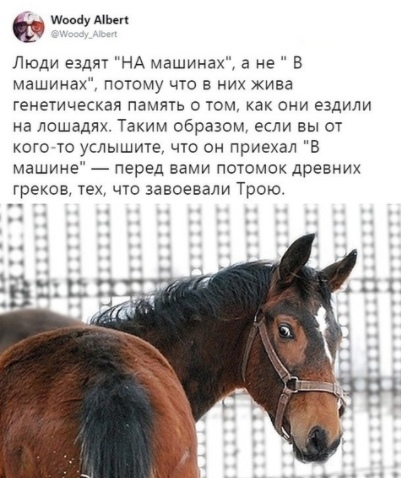 Картинки и мемы для настроения 03.08.2021