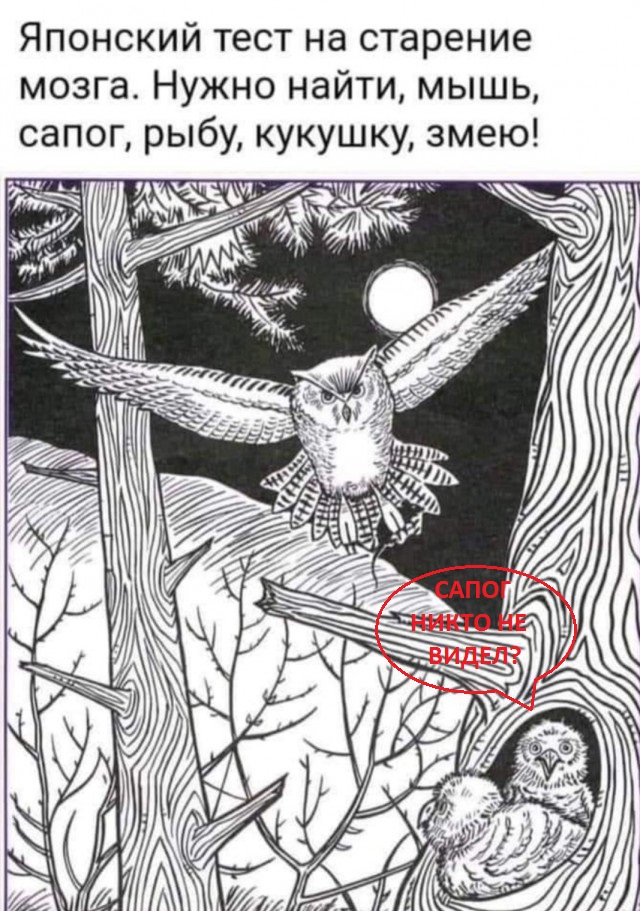 Бредзона 10.10.2021