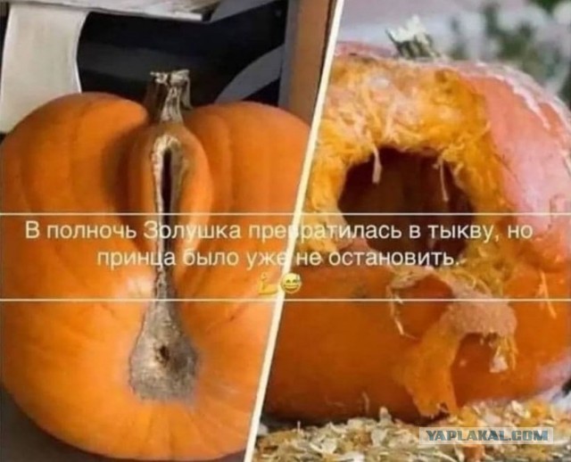 У Павла завелись деньги. Его песню купили для голливудского блокбастера