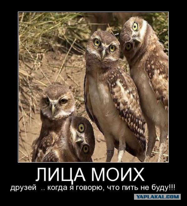 Картинки - не картинки. Смешные - не смешные 2