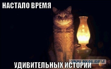 Все ли таксисты му*аки?