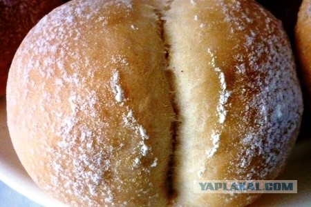 Уря! Уря! ЯП починилсЯ! Давайте картинок накидаем