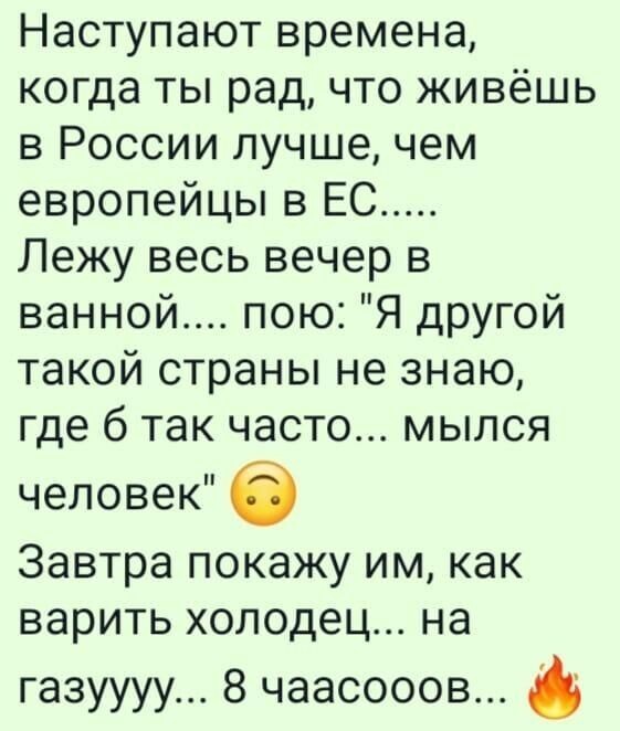 Калининградский завод «Автотор», где собирали BMW, Kia и Hyundai, бесплатно раздаст работникам участки под огороды — по 10 соток