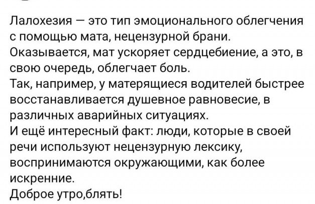 Лоза сравнил Шнурова с кабацким музыкантом и бомжом