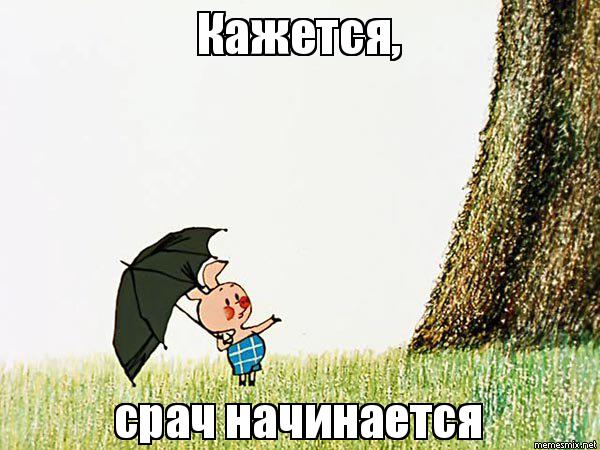Детский омбудсмен Татарстана назвала призывы брать животных из приюта пропагандой чайлдфри