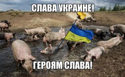 МАГАТЭ называл виновников взрывов на ЗАЭС