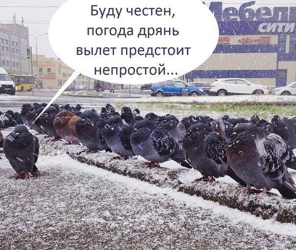 Так себе картинки 25.10.22