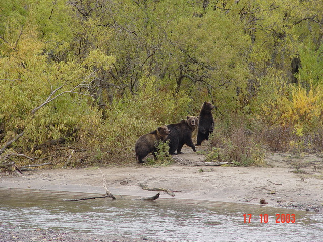 Петропавловск-Камчатский и его окрестности...