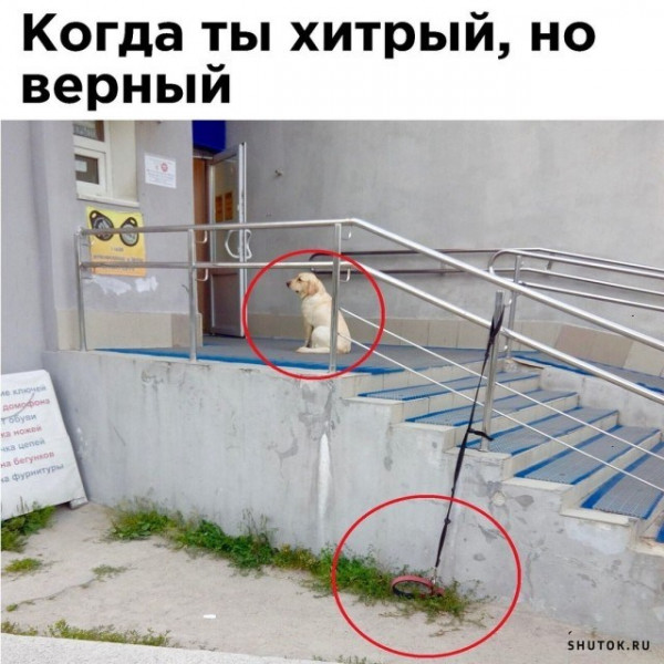 Так себе картинки 11.11.22