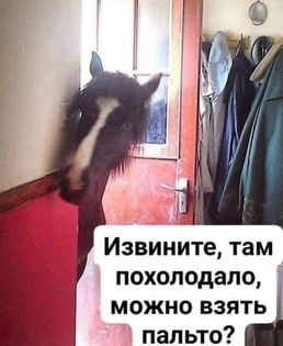 Так себе картинки 19.11.22