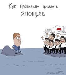 Япония применила термин «незаконная оккупация» к российским Южным Курилам