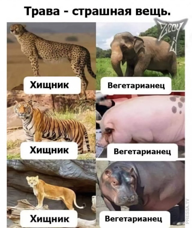 Картинки и мемы, всяко разно - 179