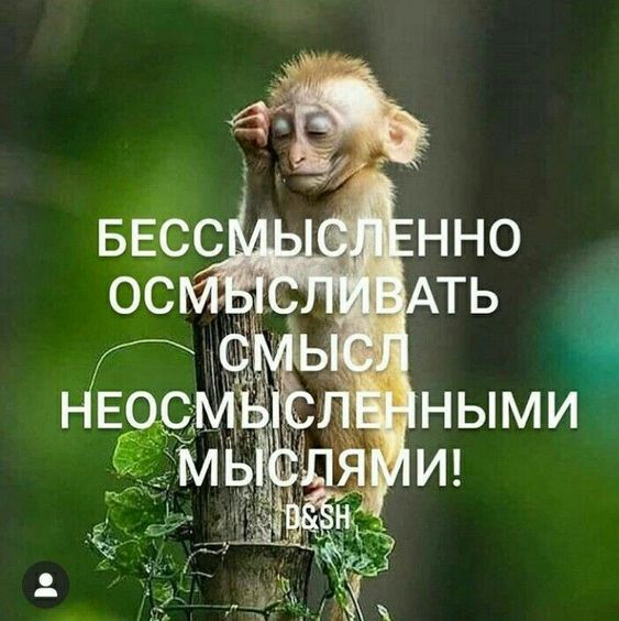 Прикольные и просто красивые картинки 27.06.2023