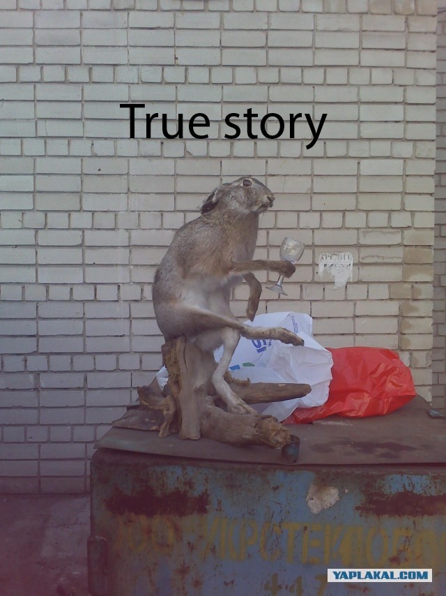 Это что ? о_О